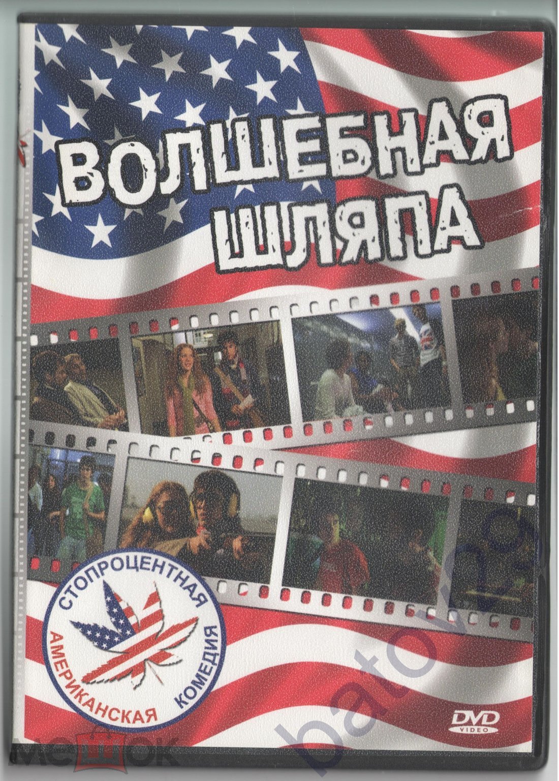 DVD: Волшебная шляпа (Безумный колледж). Фил Прайс. Николас Райт. Рашель  Лефевр. США, 2003 г.