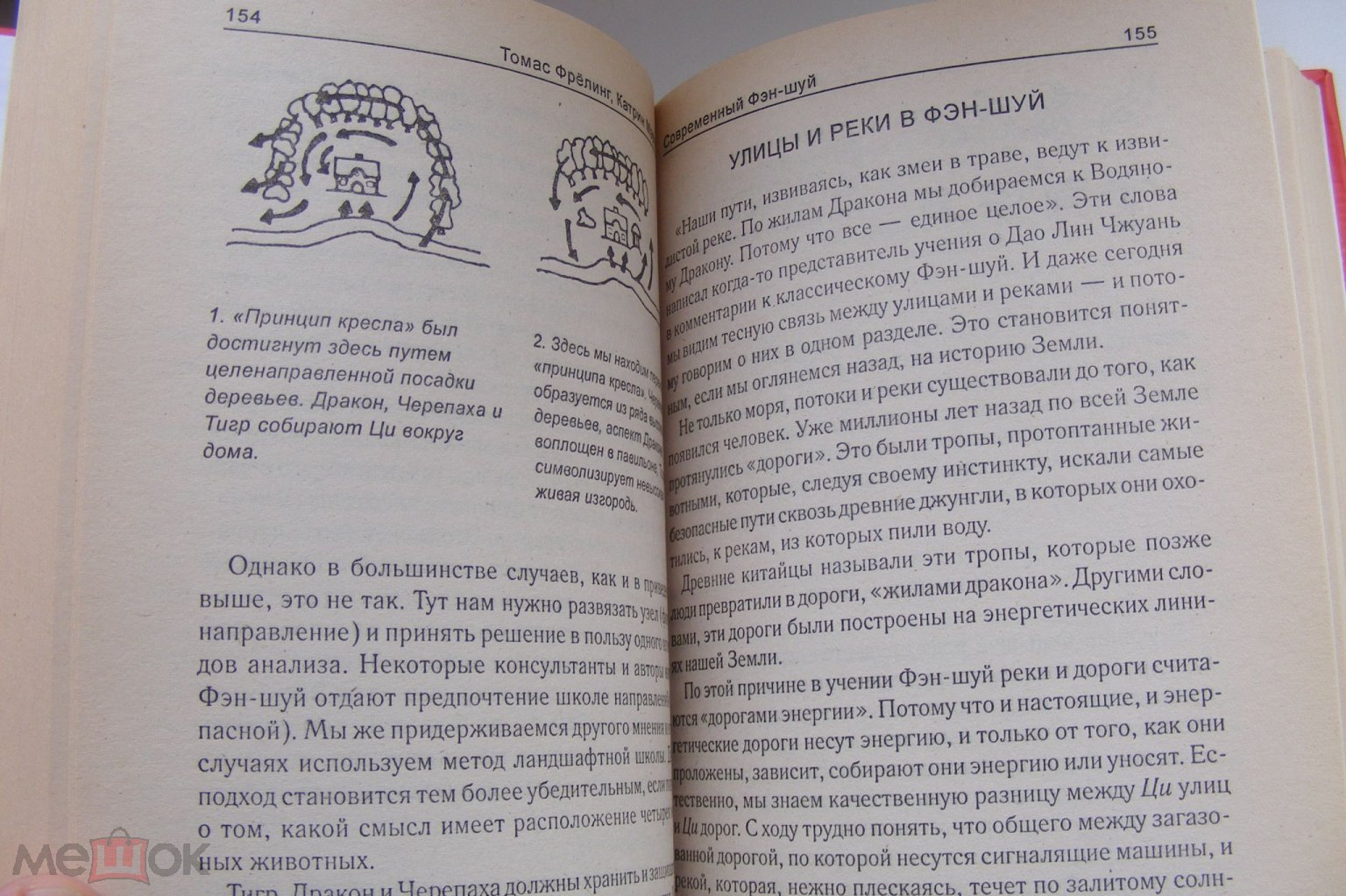 Фрелинг Томас, Мартин Катрин. СОВРЕМЕННЫЙ ФЭН-ШУЙ. 2006 Г. 430 СТР.