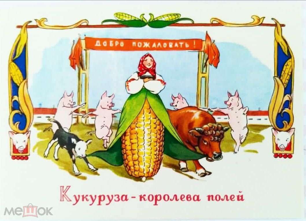 Открытка СССР 1961г. Пословицы и поговорки Кукуруза - королева полей.  ЧИСТАЯ (торги завершены #240150272)