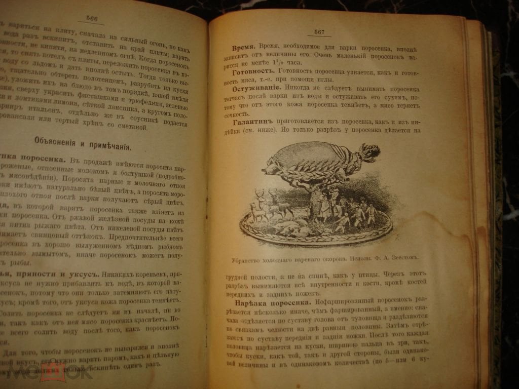 АЛЕКСАНДРОВА-ИГНАТЬЕВА.ПРАКТИЧЕСКИЕ ОСНОВЫ КУЛИНАРНОГО ИСКУССТВА,СПб,  Суворин,1909г.