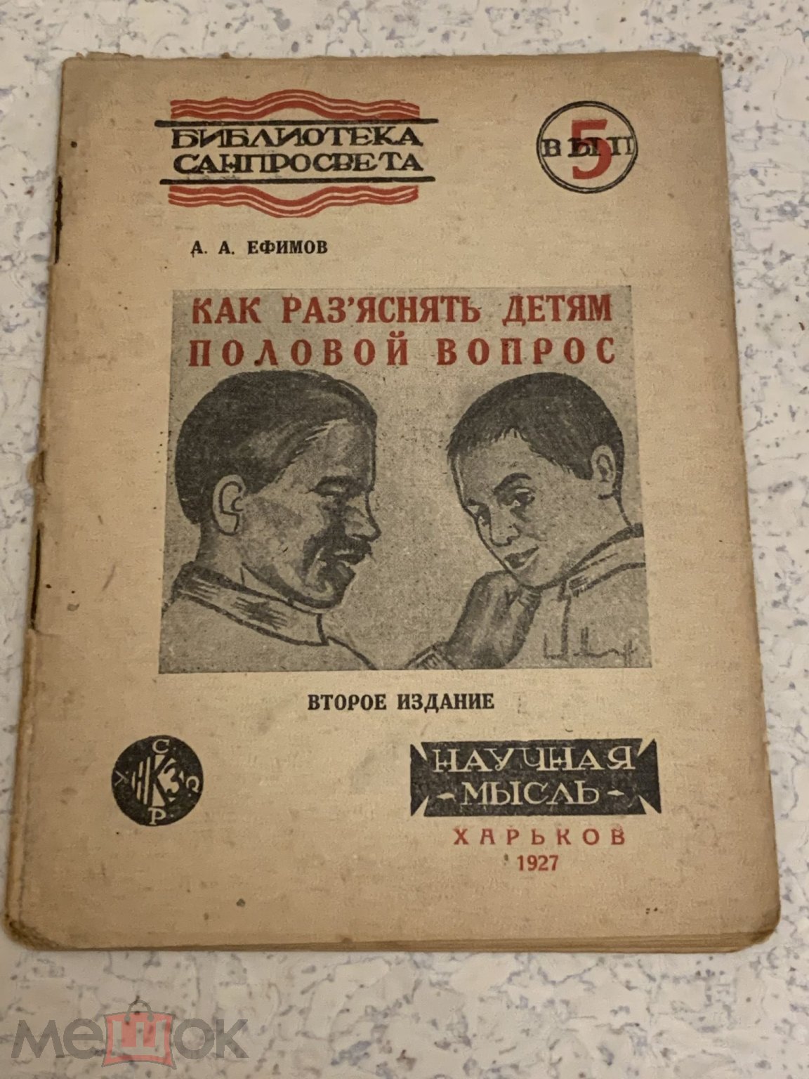 Книга СССР А.А. Ефимов Как разъяснять детям половой вопрос Харьков 1927г.  Научная мысль.Секс в СССР на Мешке (изображение 1)