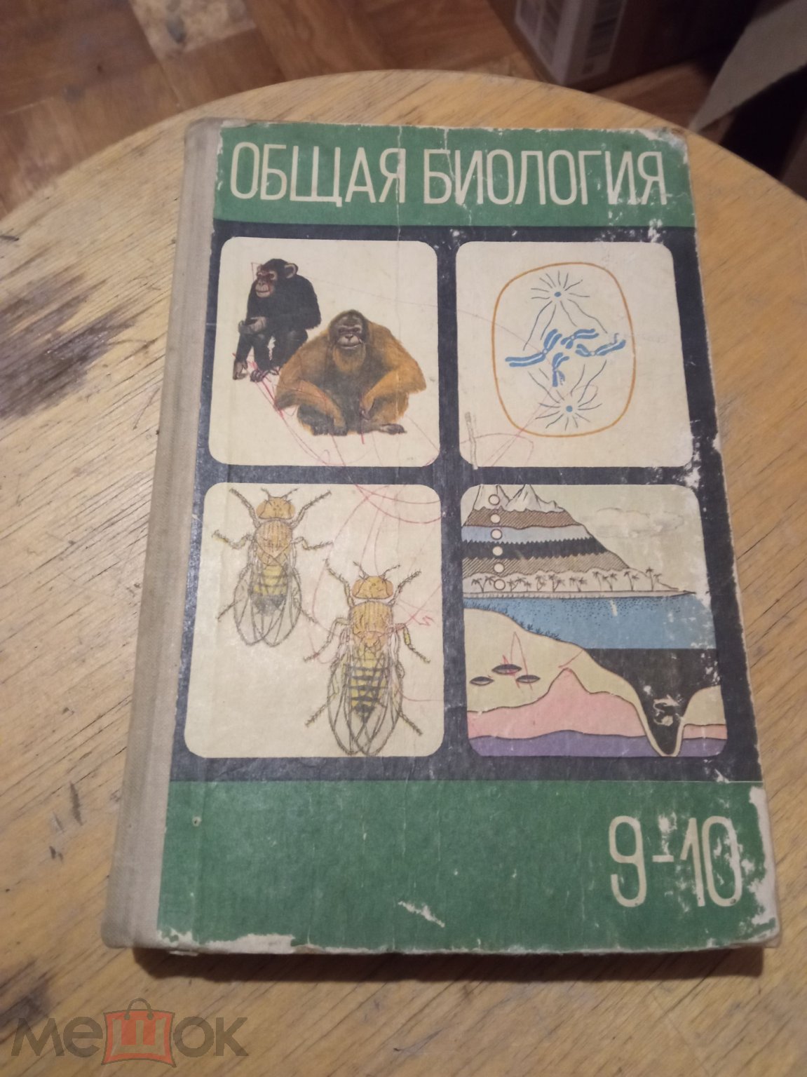 учебник общая биология 9-10 класс 1972 г (торги завершены #255763084)