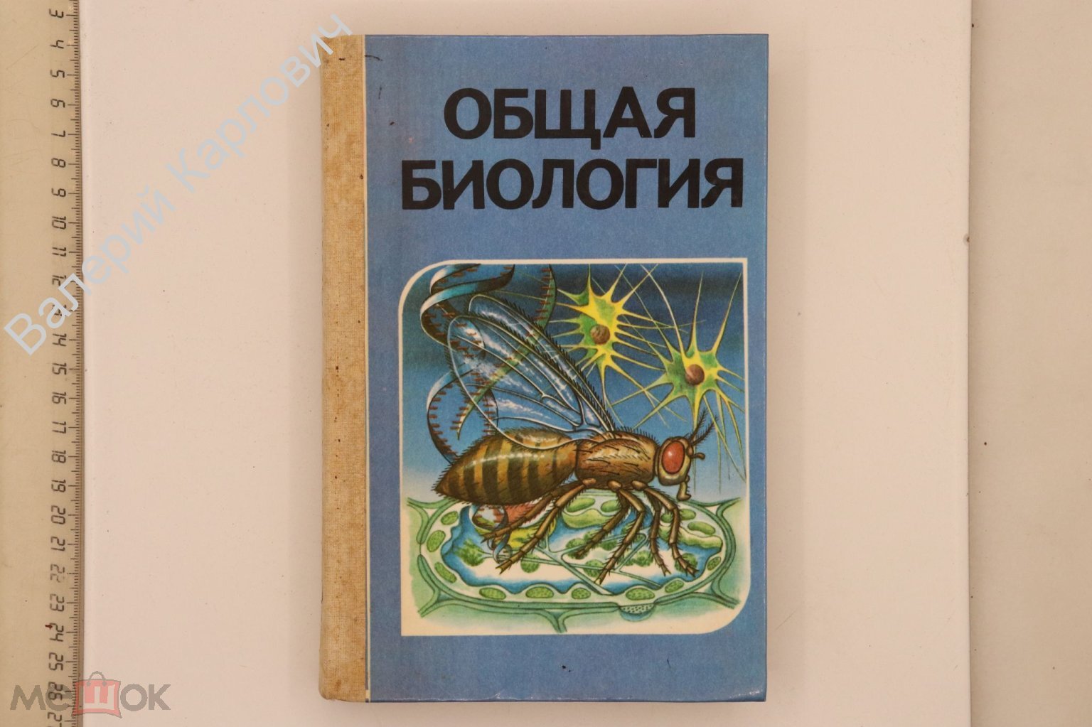 Беляев Д.К. и др. Общая биология. Учебник для 10-11 кл. сред. шк.М.  Просвещение. 1992г. (Б14784)