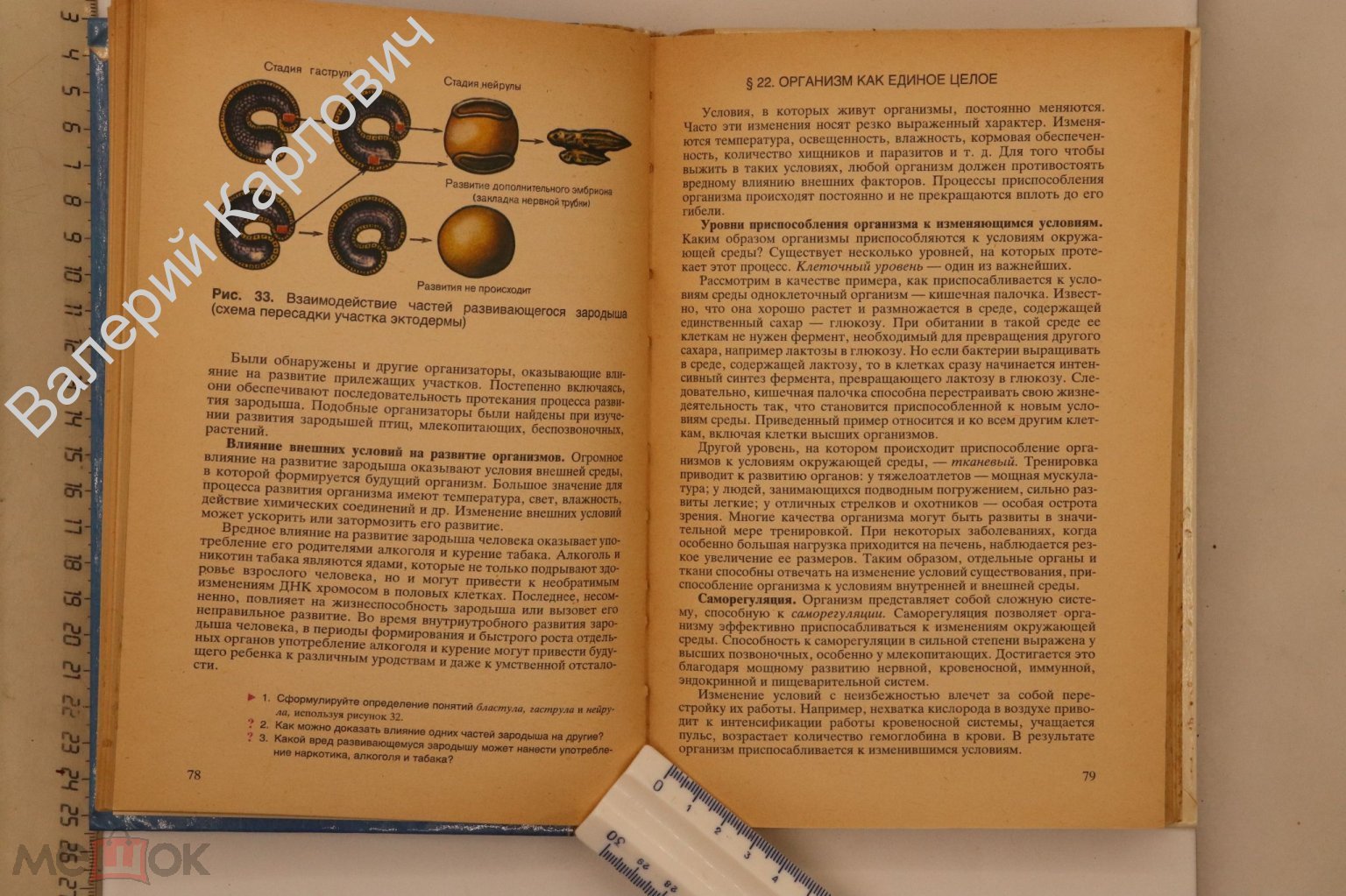 Беляев Д.К. и др. Общая биология. Учебник для 10-11 кл. сред. шк.М.  Просвещение. 1992г. (Б14784)