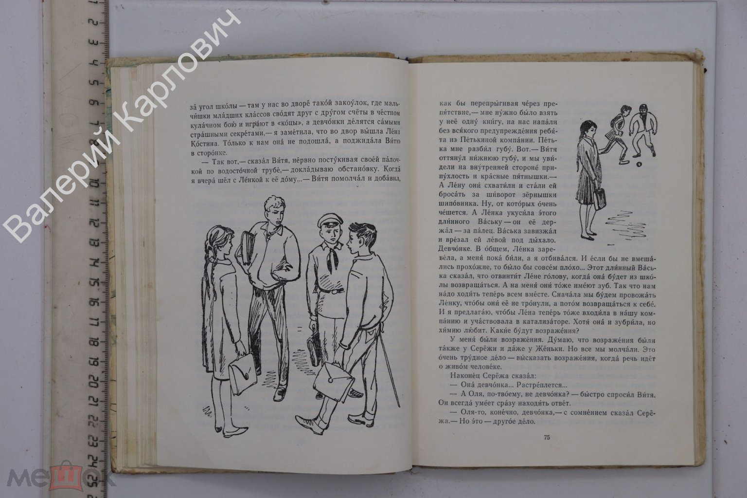 Киселев В. Девочка и птицелет. Роман. Рисунки Штеренберга А. М. Детская  литература 1969 г. (Б20801)