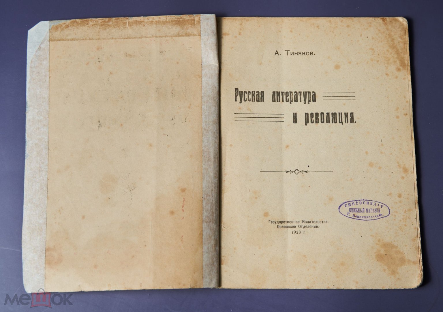 А. Тиняков Русская литература и революция. - Орел: Государственное  издательство, 1923