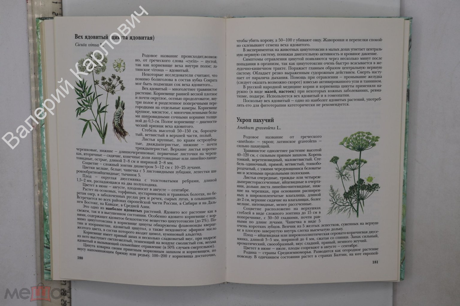 Носов А. Лекарственные растения. Серия: Мой дом. М. Эксмо - Пресс. 1999 г.  (Б24414)