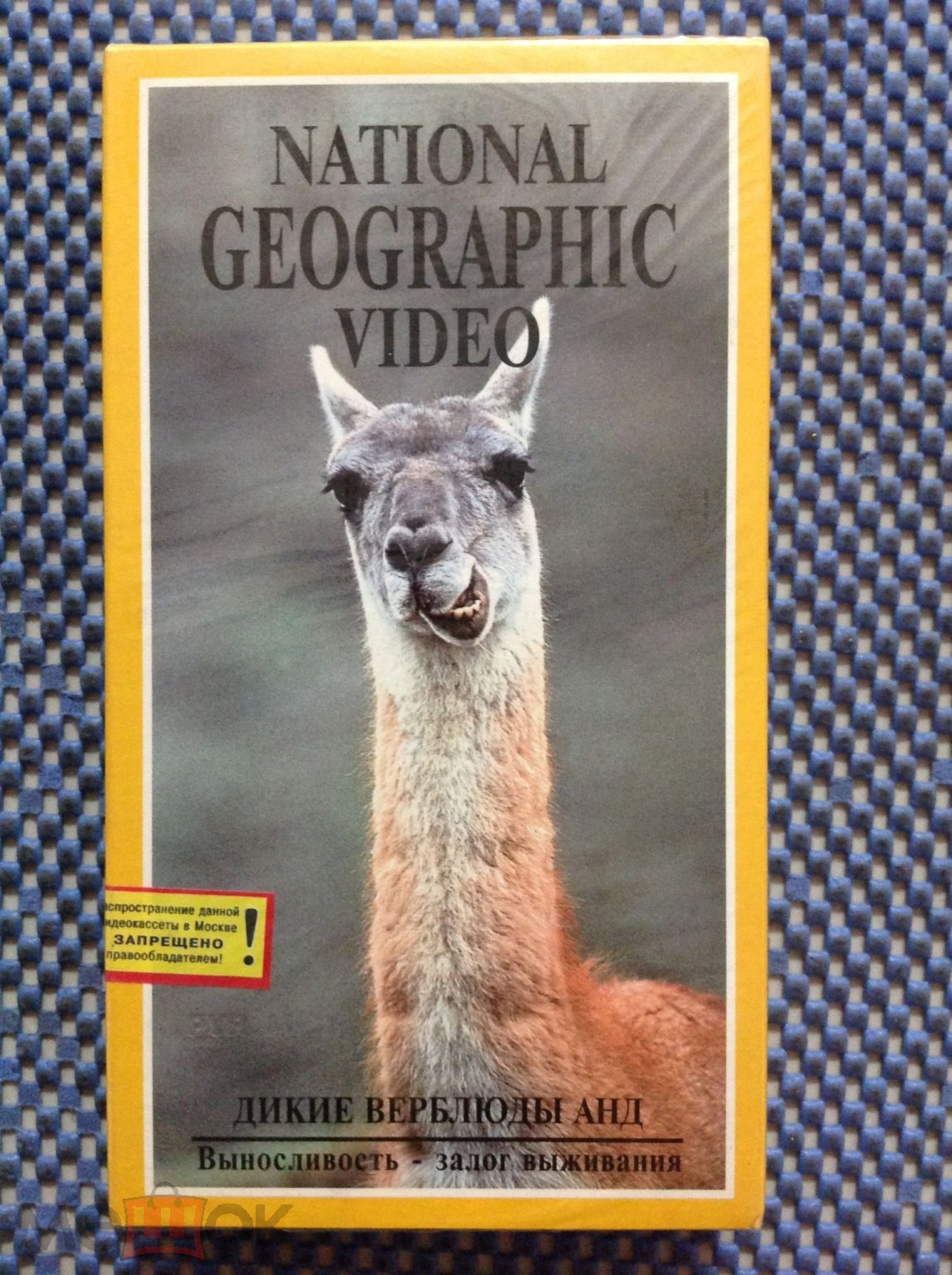 VHS ☑️National Geographic video _ ДИКИЕ ВЕРБЛЮДЫ АНД _ Лицензия ЗАПЕЧАТАН !