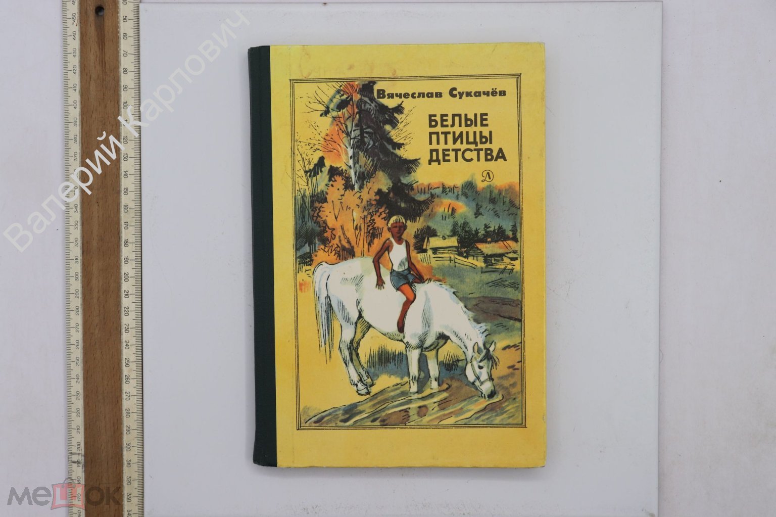 Сукачев Вячеслав. Белые птицы детства. Рисунки А. Иткина. М. Детская  литература 1984г. (Б25863)