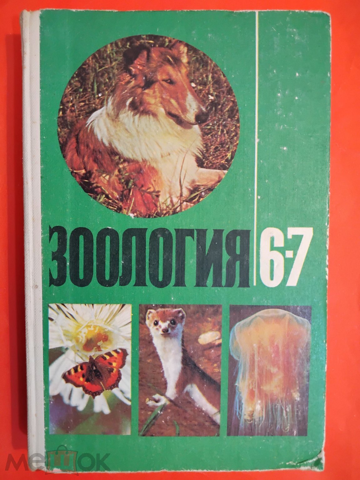 Учебник СССР. Зоология. 6-7 класс. 1984 г. Авт. Быховский. Козлова.  Мончадский. Наумов.