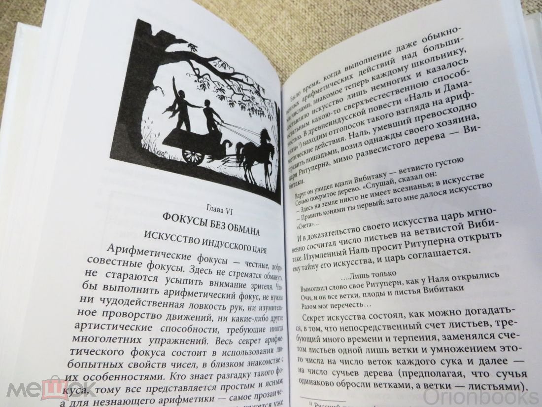 Занимательная арифметика Яков Перельман серия Дом занимательной науки СЗКЭО  2016 Скалдин