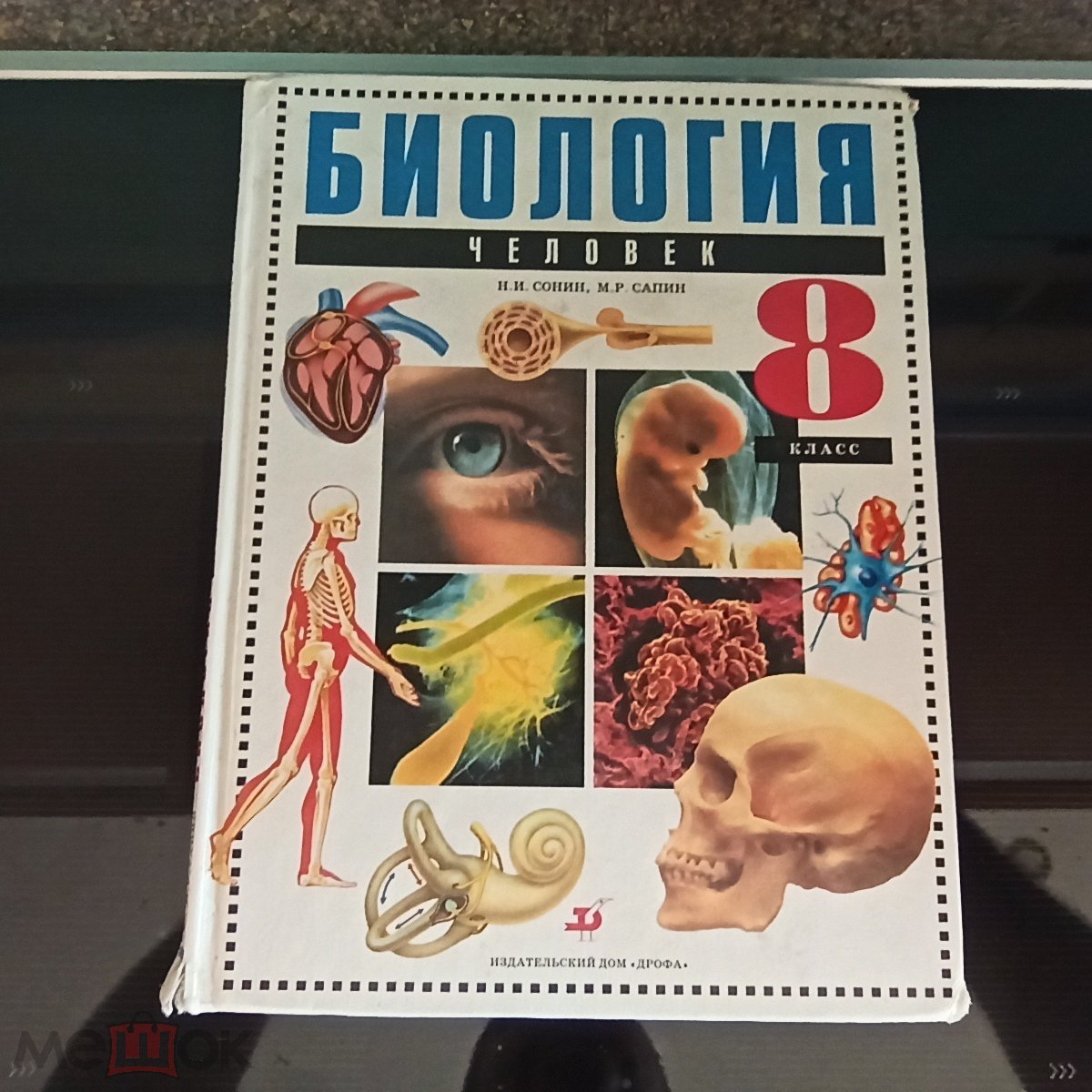 книга Биология 8 класс учебник, Москва 2000, 216 стр.