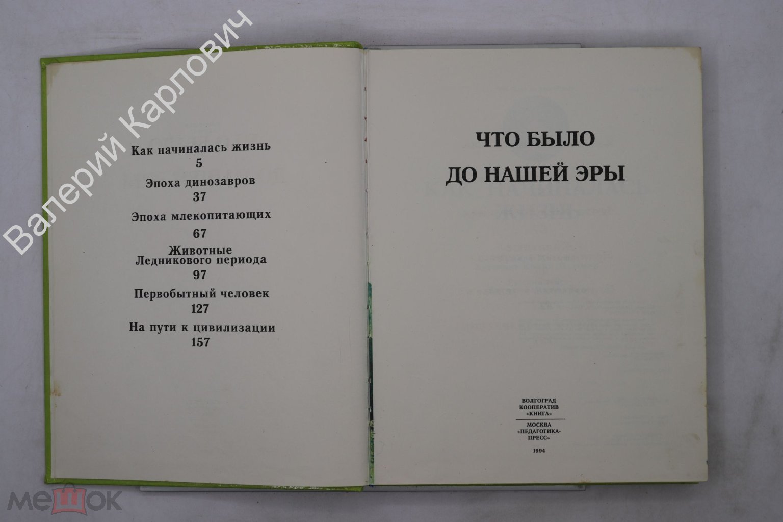 Что было до нашей эры.. Волгоград. Книга, Москва Педагогика - Пресс 1994  (Б27241)