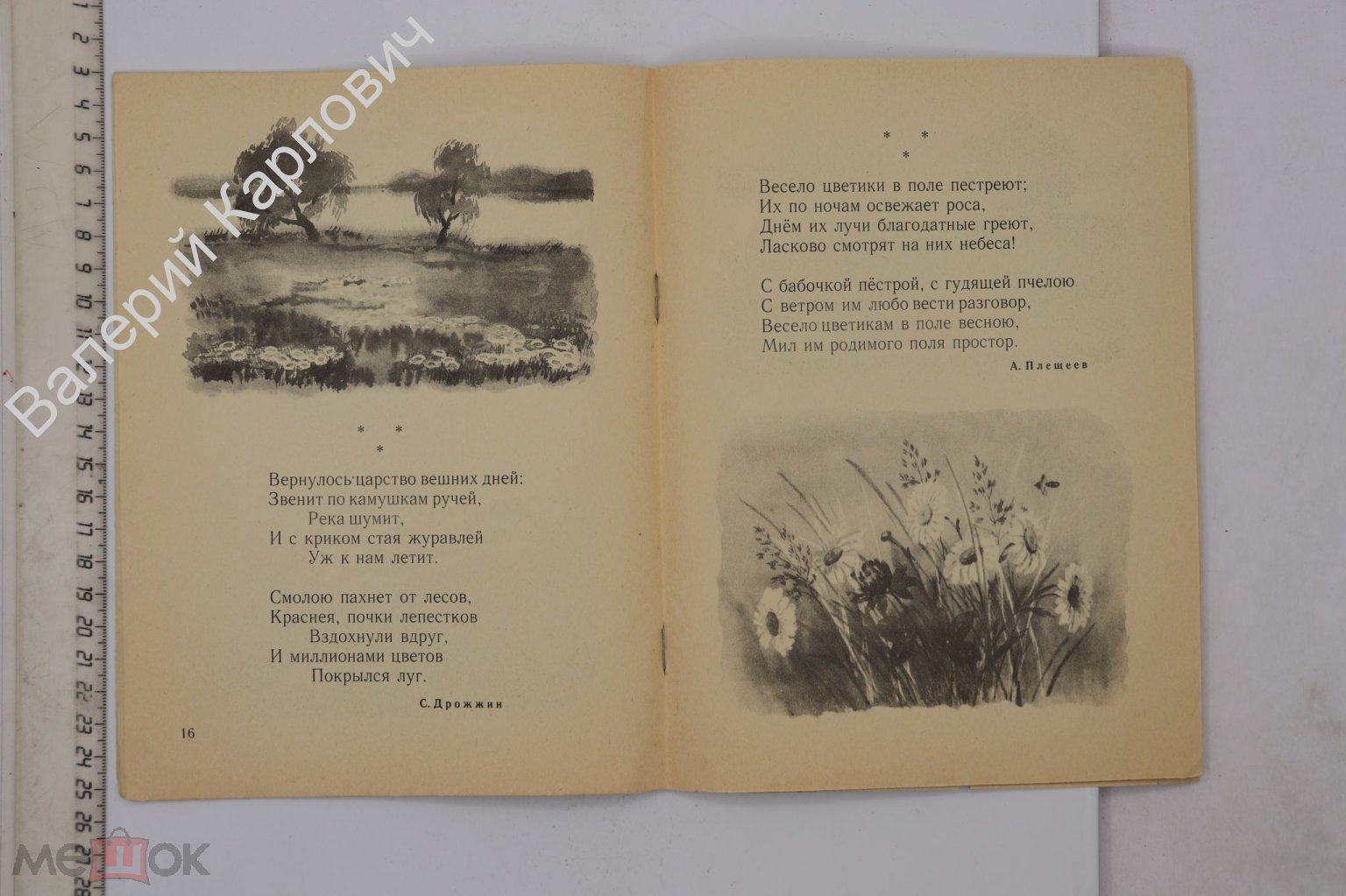 Цветы лета. Стихи и рассказы русских писателей. Рис. Н. Левинской. М. Дет.  лит. 1971 г (Б27663)