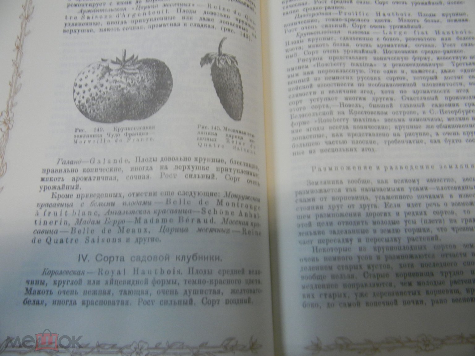 Р. И. Шредер Русский огород , питомник и плодовый сад (торги завершены  #301764957)