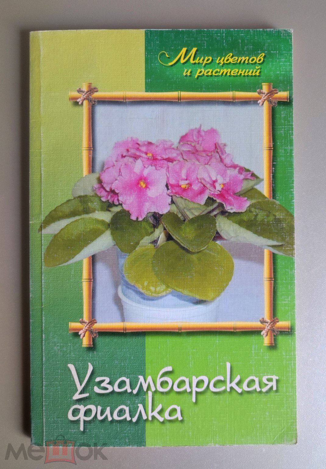 УЗАМБАРСКАЯ ФИАЛКА (СЕНПОЛИЯ). 2006г.