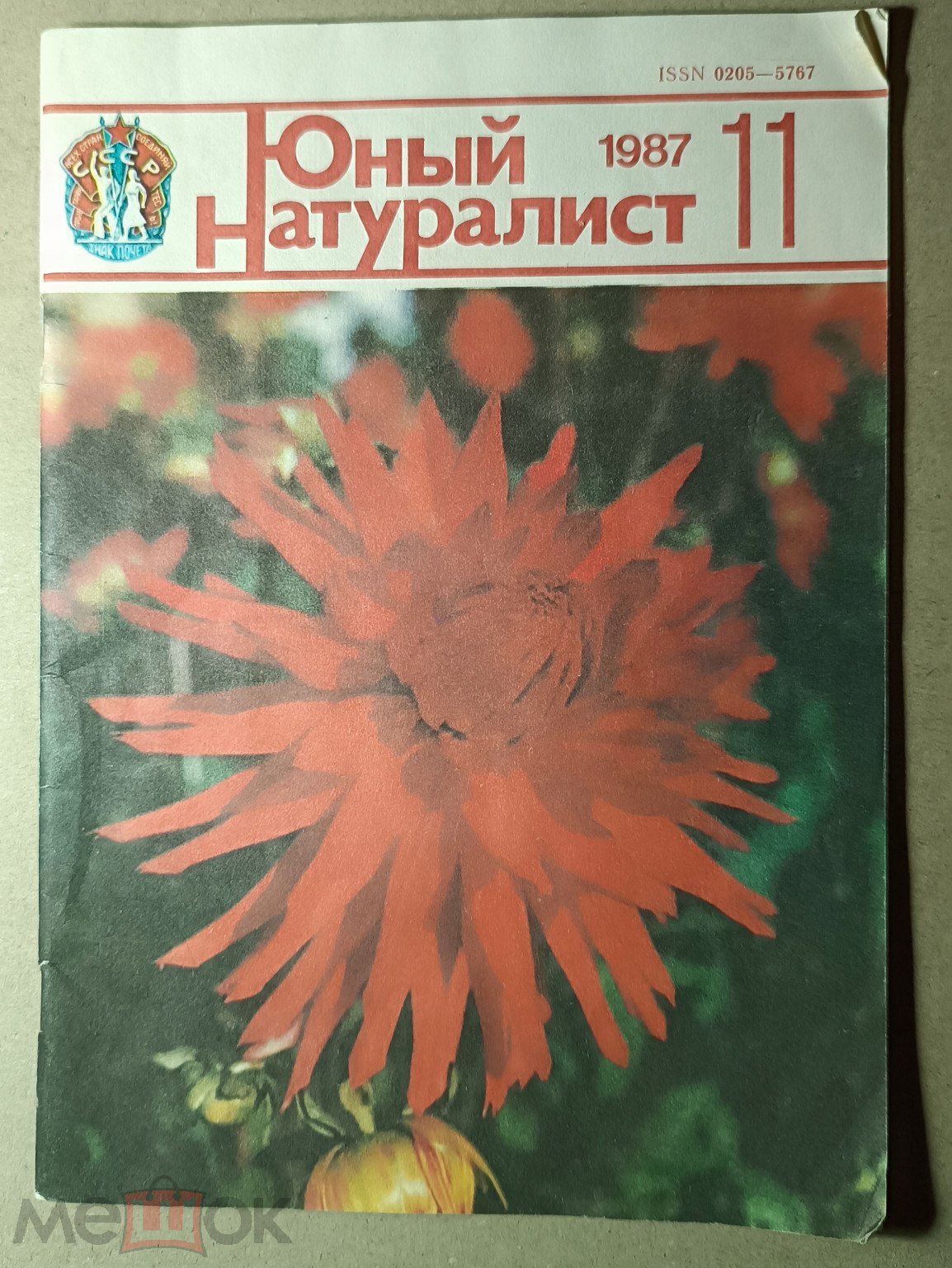 Журнал СССР. Юный натуралист. Номер 11 1987 год