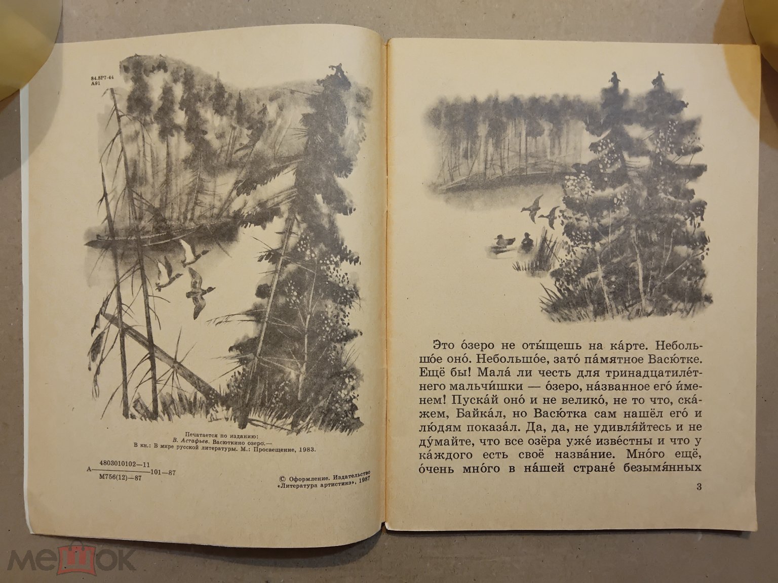 Детская книга СССР. Васюткино озеро. 1987 г. Авт. Астафьев. Худ. Явтушенко.  Изд-во Кишинёв. Молдавия