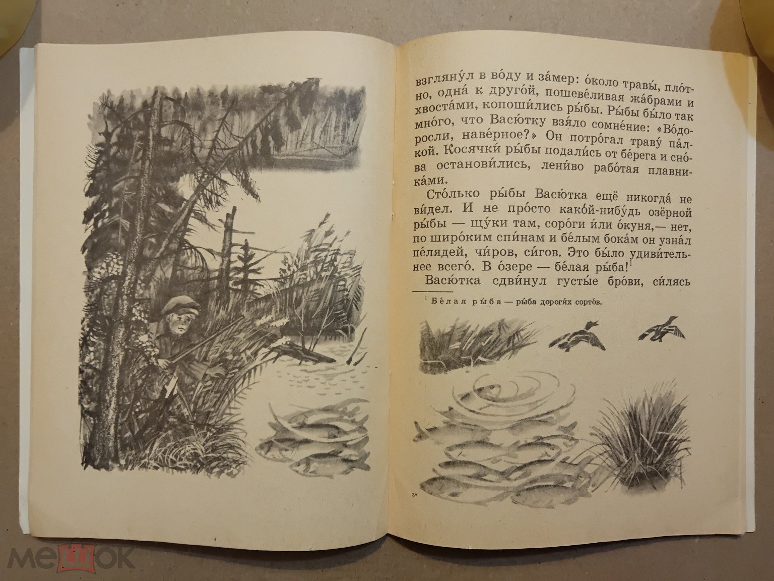 Детская книга СССР. Васюткино озеро. 1987 г. Авт. Астафьев. Худ. Явтушенко.  Изд-во Кишинёв. Молдавия