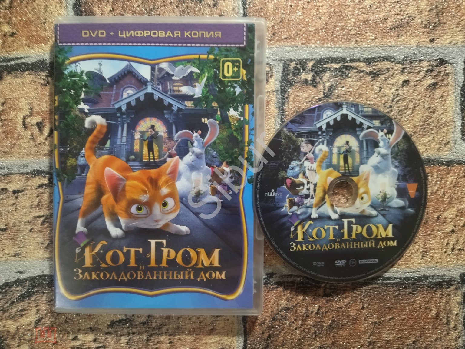 DVD мультфильм Кот Гром и заколдованный дом//003-10291