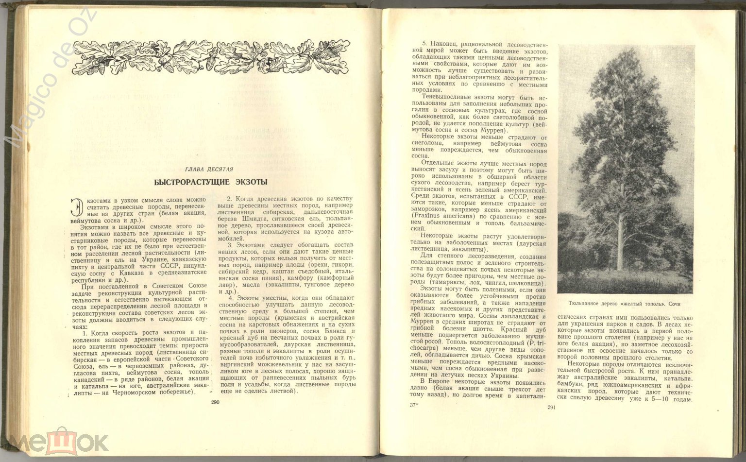 Общее лесоводство. Москва, Гослесбумиздат, 1955 г.