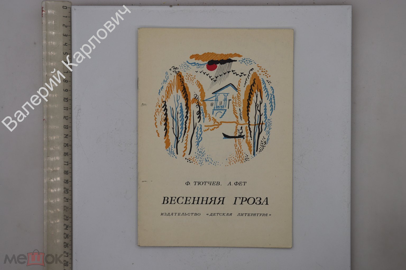 Тютчев Ф. и Фет А. Весенняя гроза. Стихи. Рис. П. Багина. М. Дет. лит. 1977  г. (Б30009) (торги завершены #313217268)