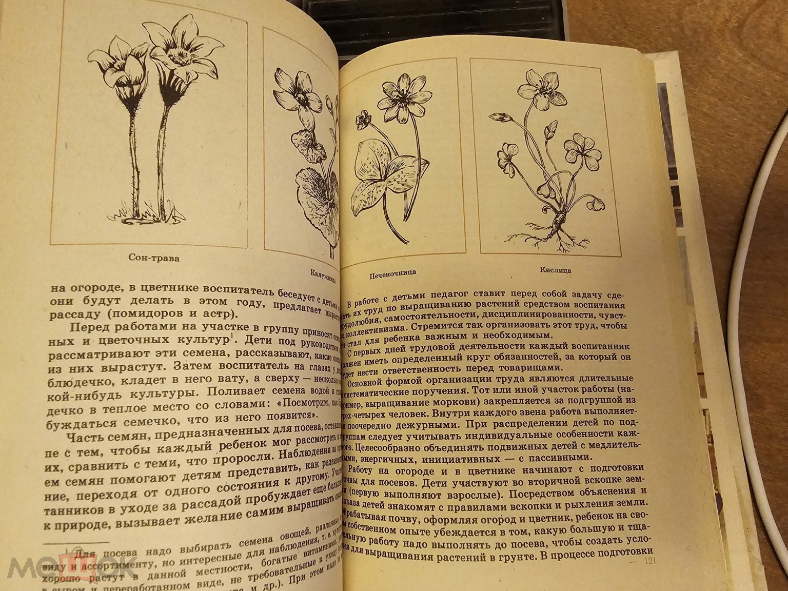 Воспитание детей в старшей группе детского сада, 1984 год Москва Просвещение