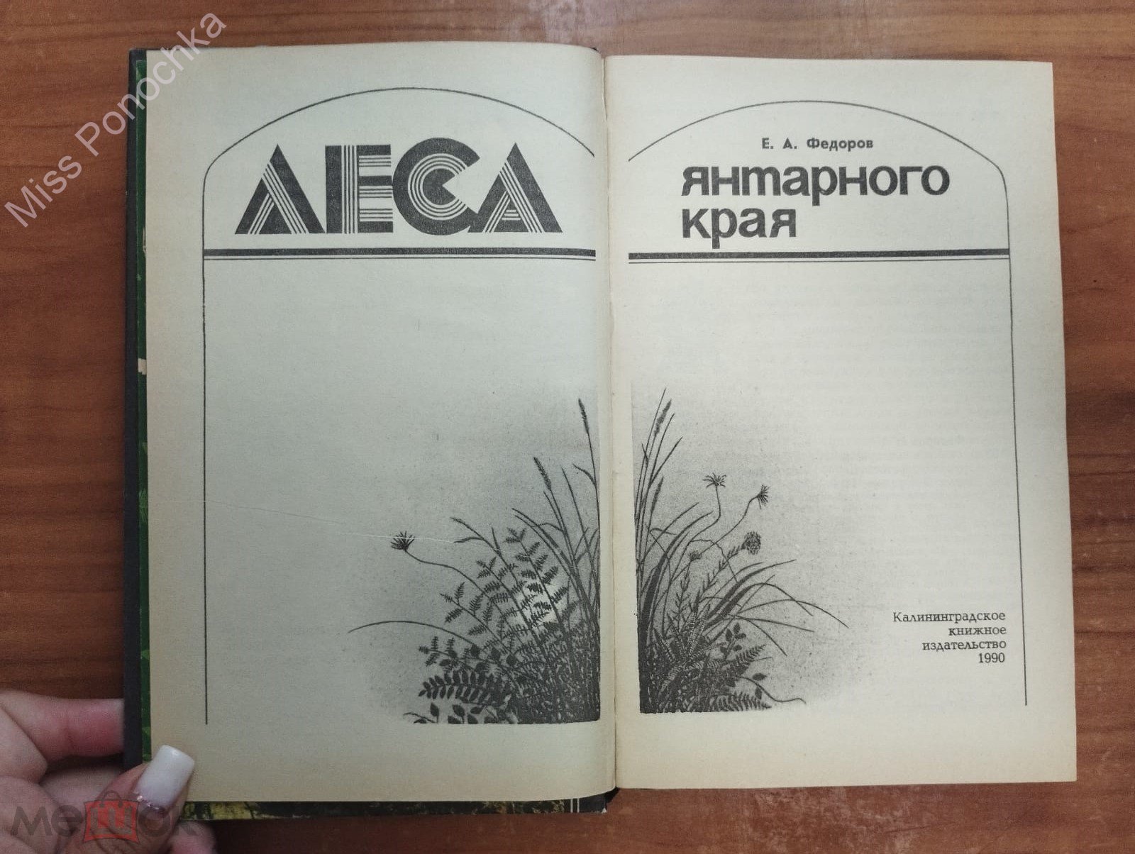 Федоров Е.А. <b>Леса</b> <b>янтарного</b> края 1990 Калининградское книжное издательство ...