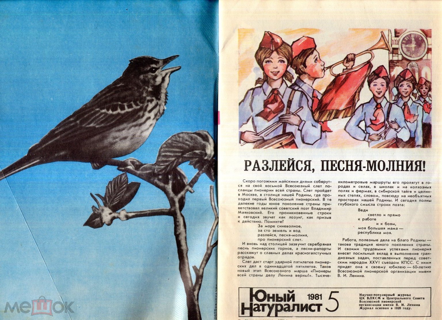 Ежемесячный детский научно-популярный журнал «Юный натуралист» № 5 1981  года. (торги завершены #55440296)