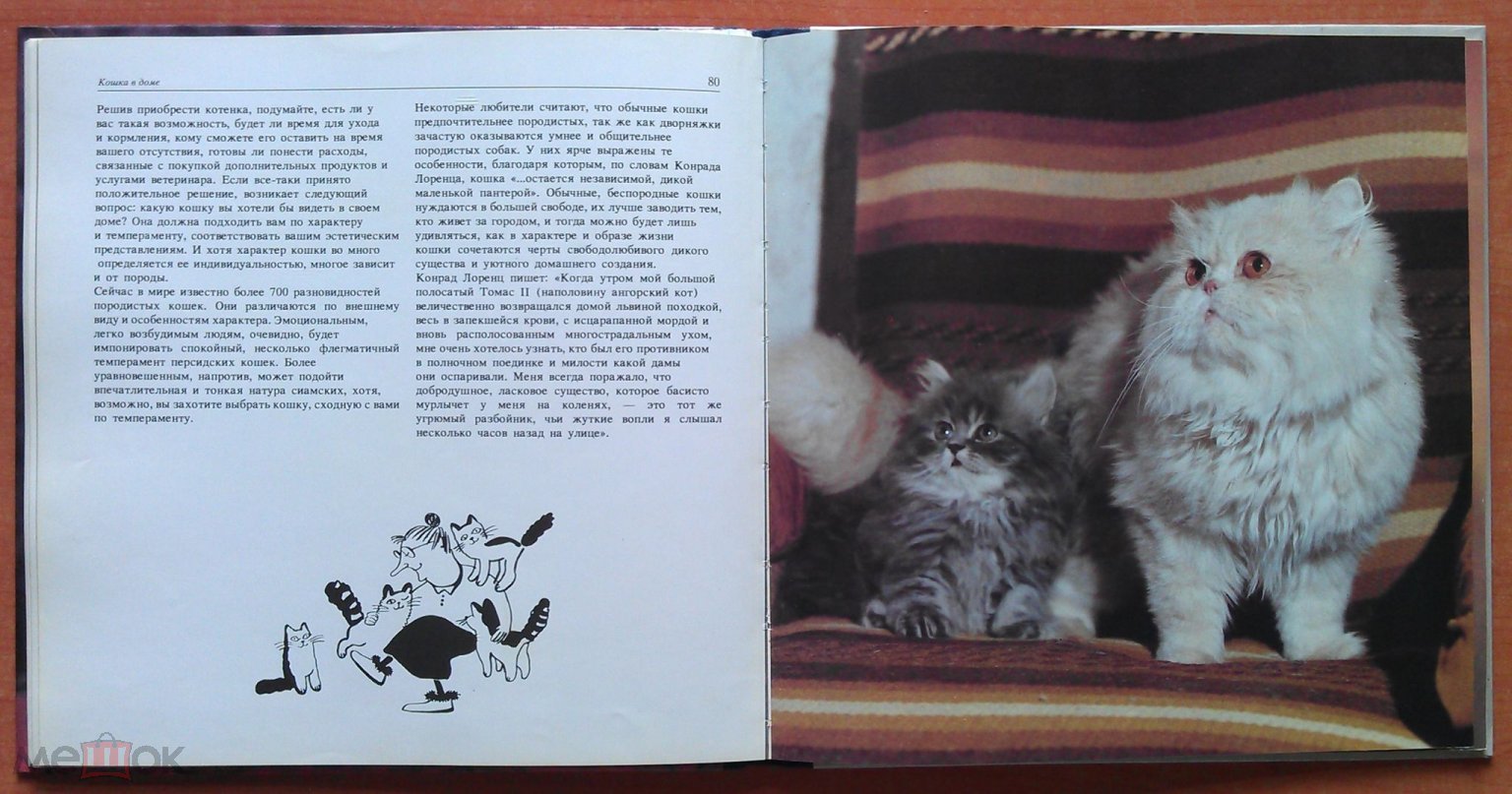 Книга 1992 г Мой ласковый и нежный зверь. Кошки, фотоальбом